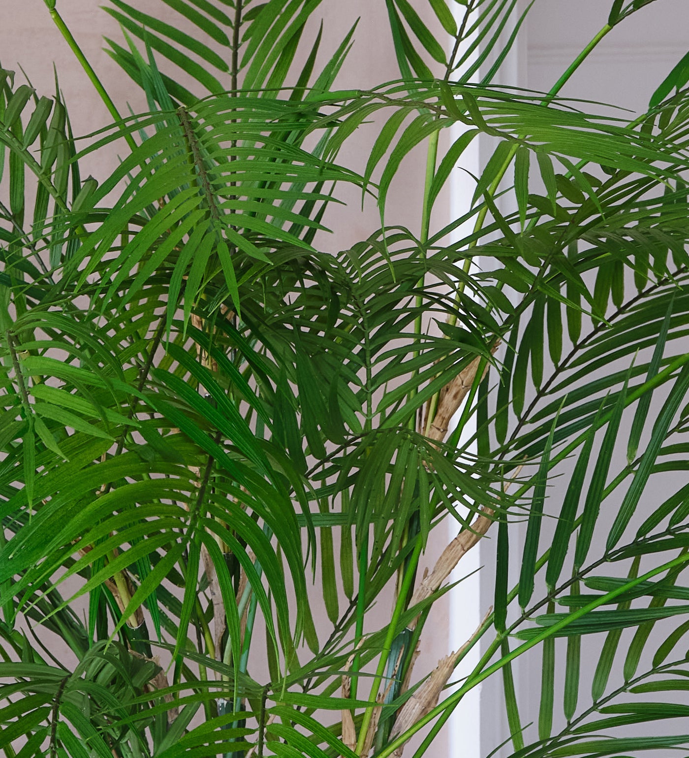 Artificial Parlour Palm