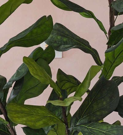 Artificial Fiddle-leaf Fig Tree