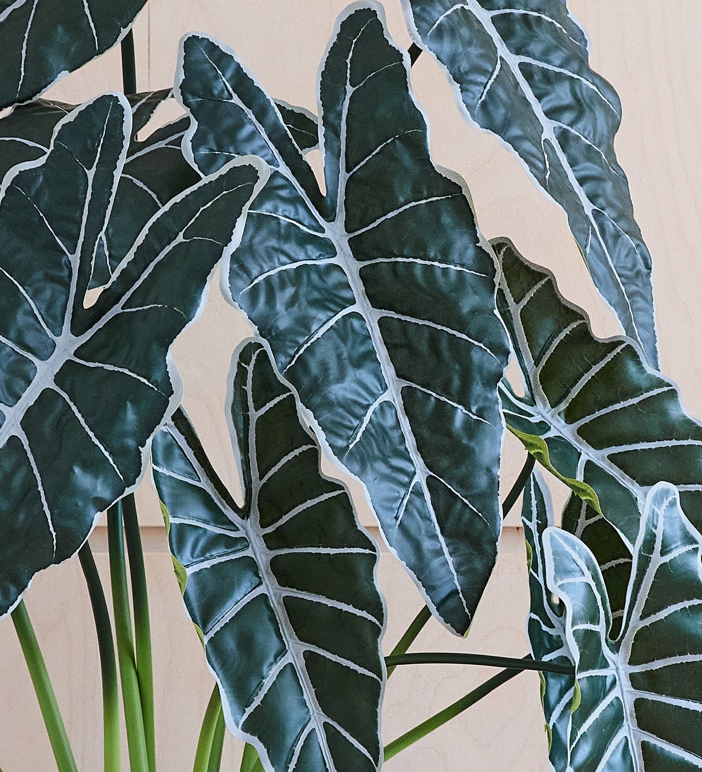 Artificial Large Alocasia Polly