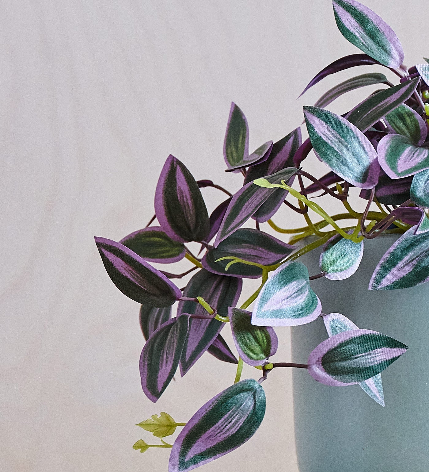 Artificial Tradescantia