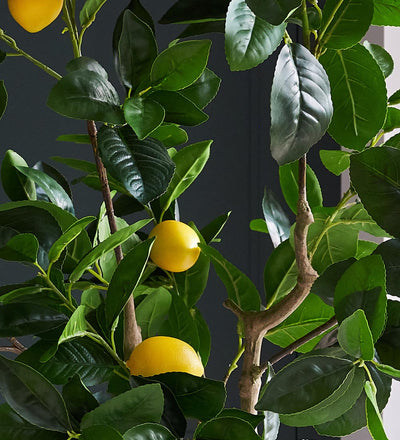 Artificial Lemon Tree