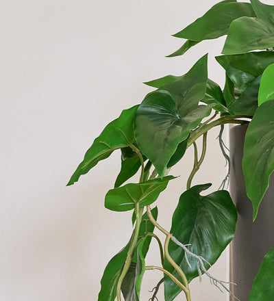 Artificial Philodendron