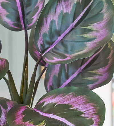 Artificial Rose Painted Calathea