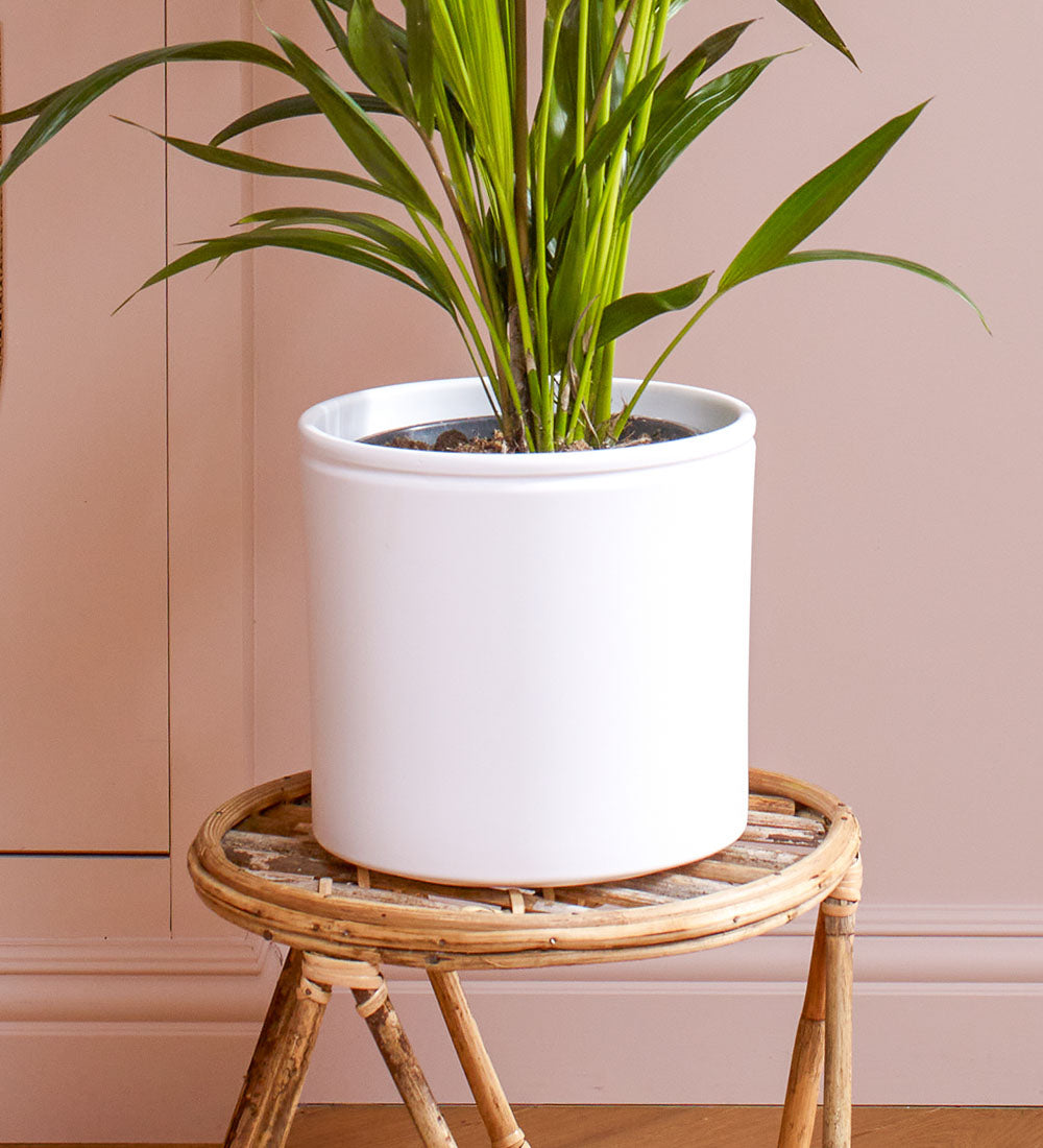 White Lucca Pot 23cm