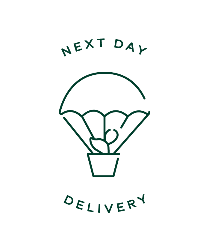 Delivery Add-on: Next or Named Day SP