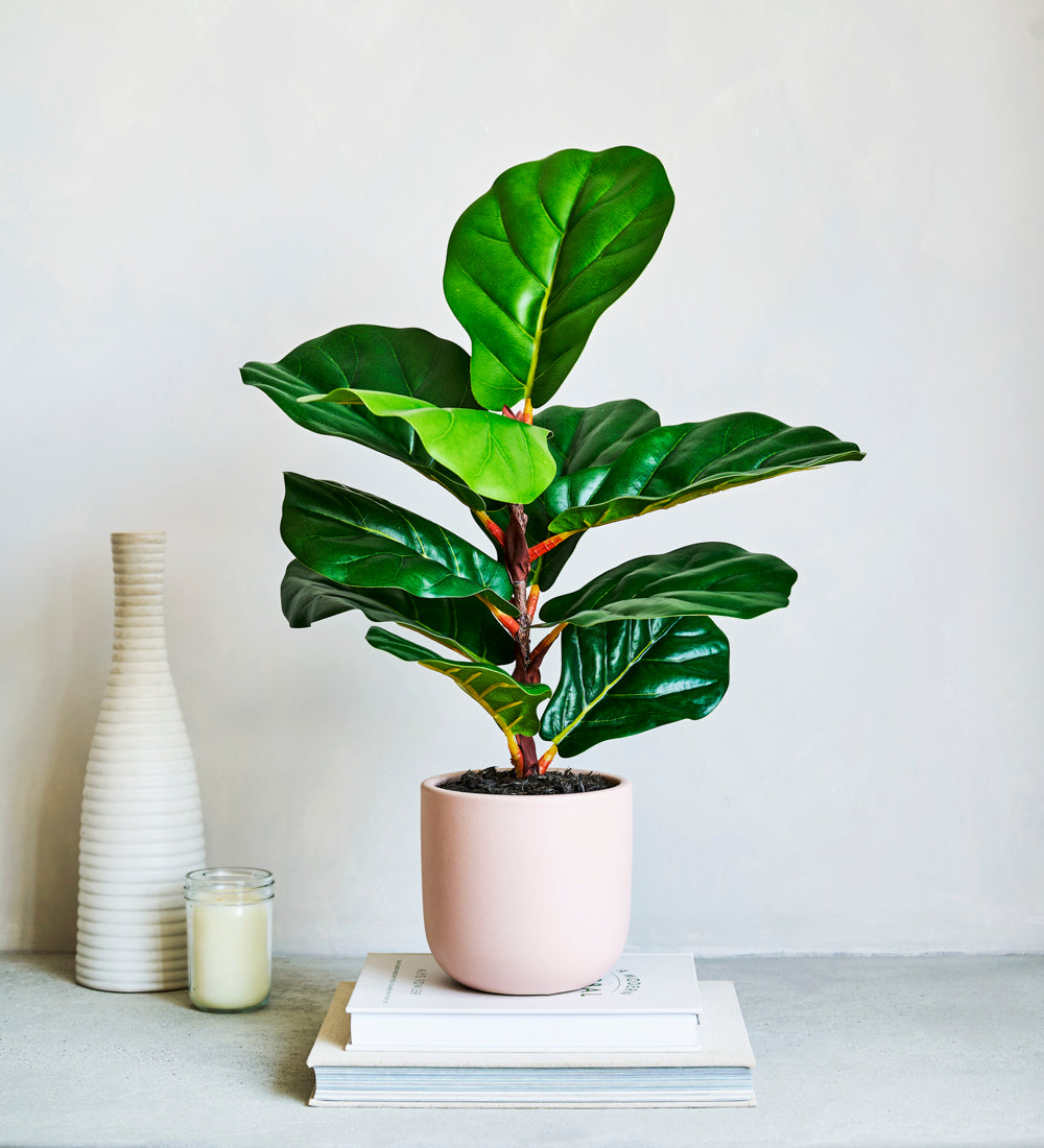 Artificial Fiddle-leaf Fig