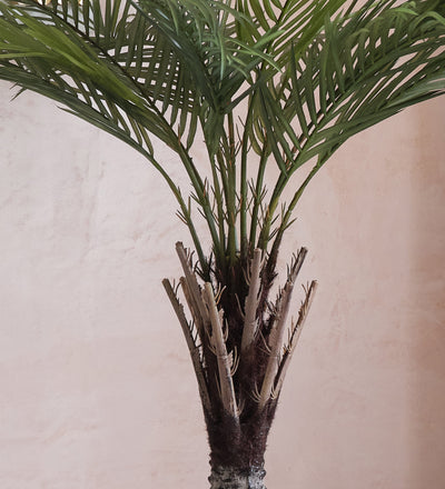 Artificial Phoenix Palm