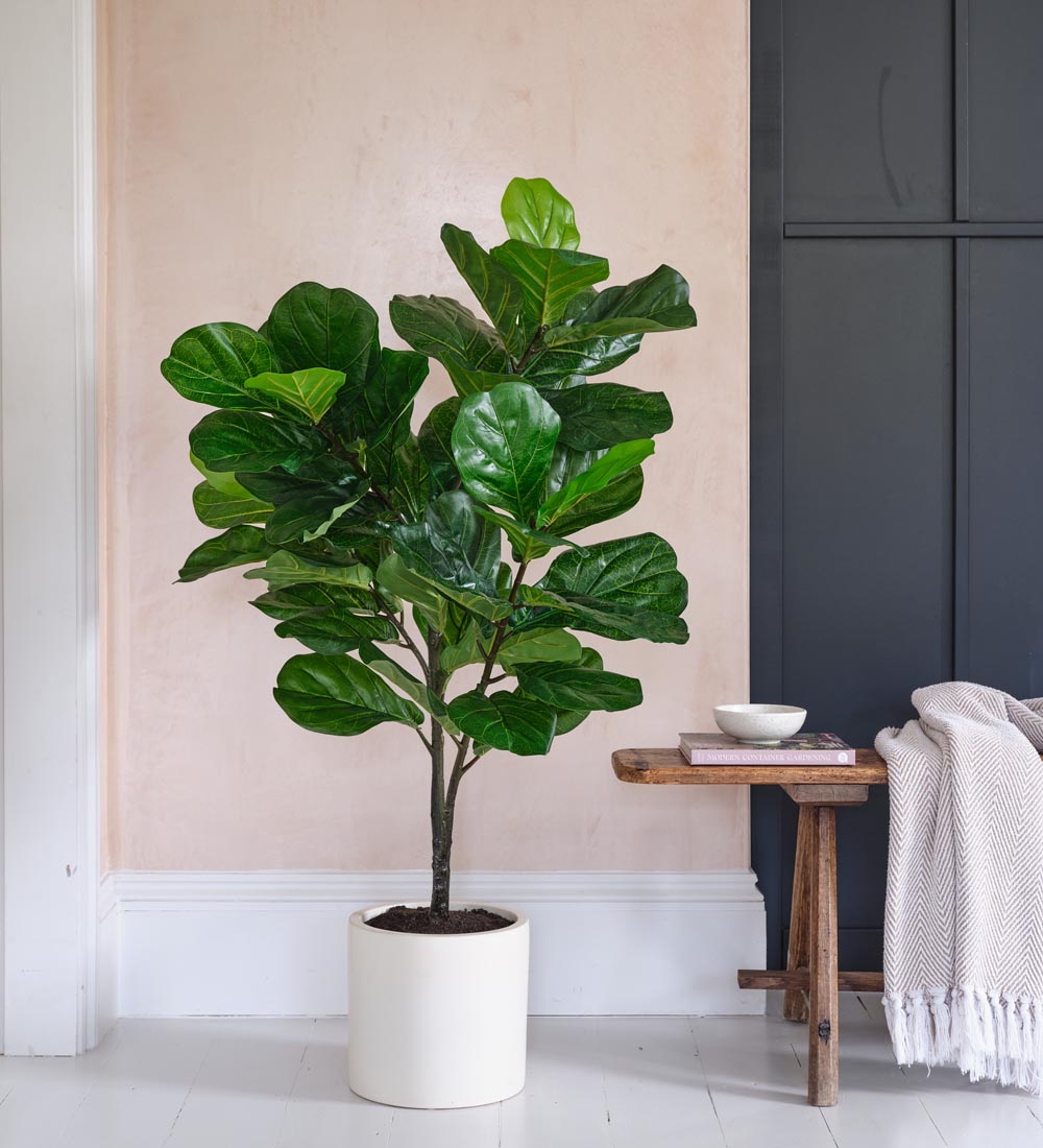 Artificial Fiddle-leaf Fig Tree