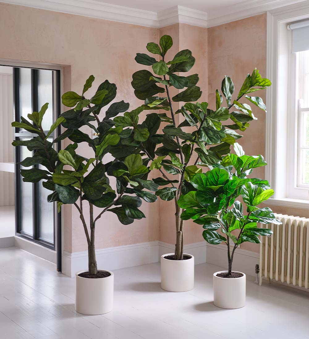 Artificial Fiddle-leaf Fig Tree