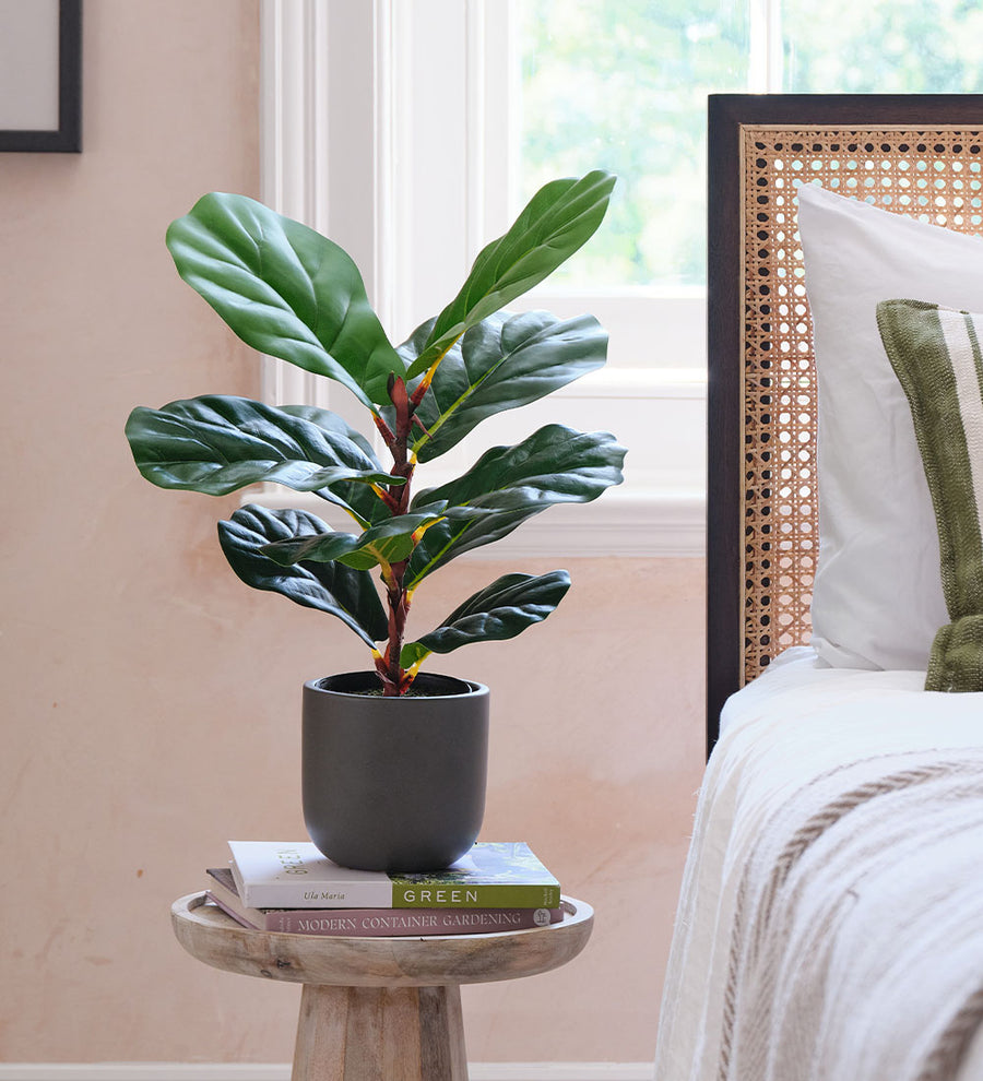 Artificial Fiddle-leaf Fig