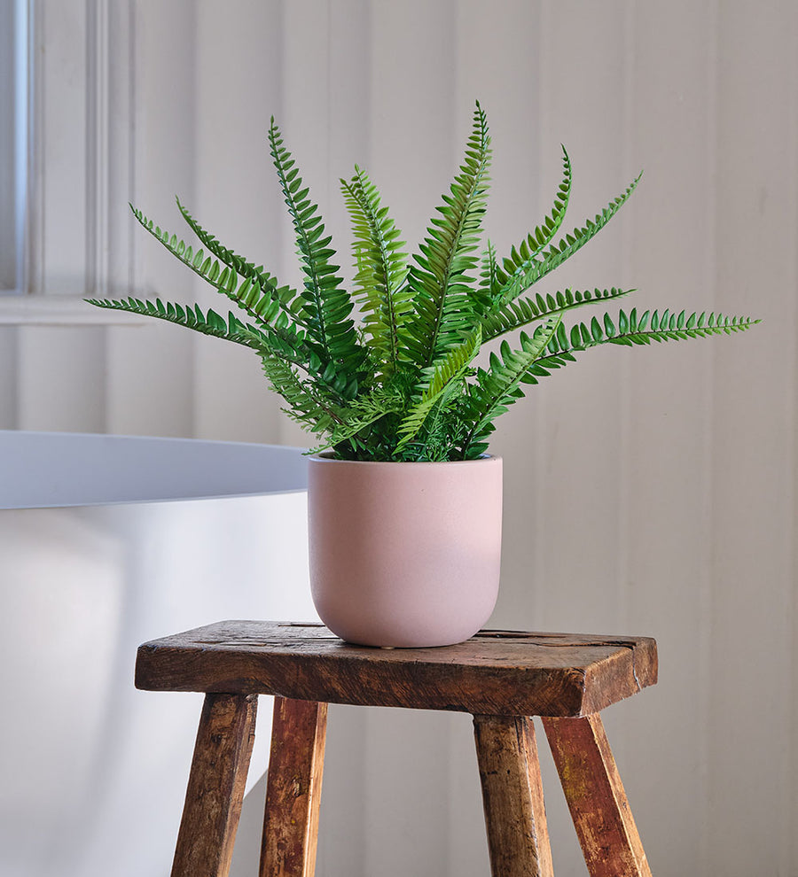 Artificial Boston Fern