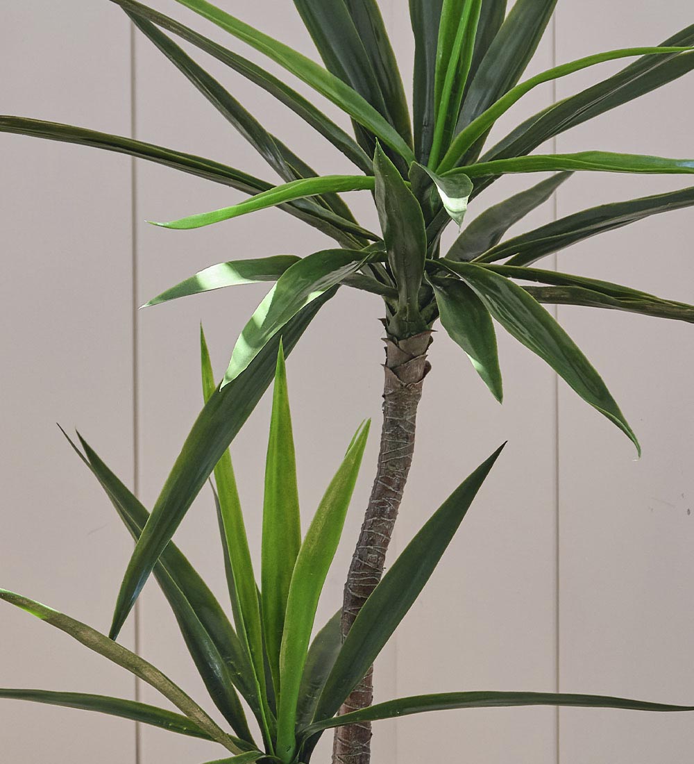 Artificial Yucca Plant