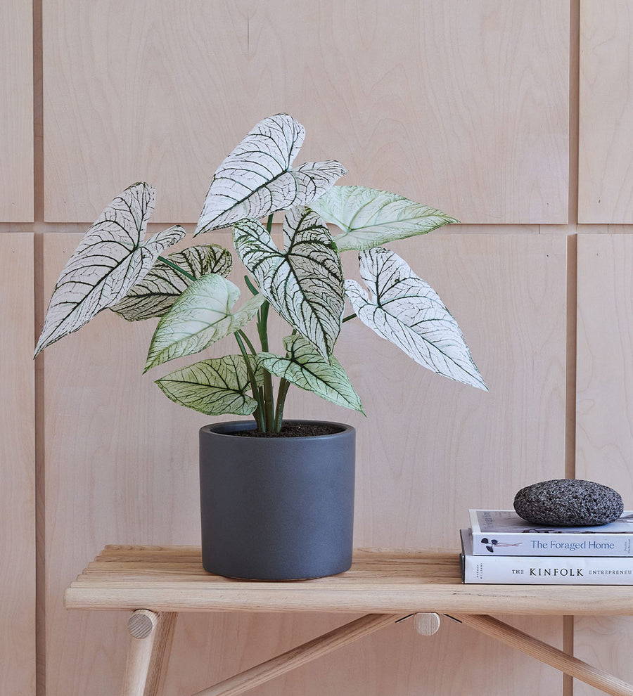 Artificial Caladium