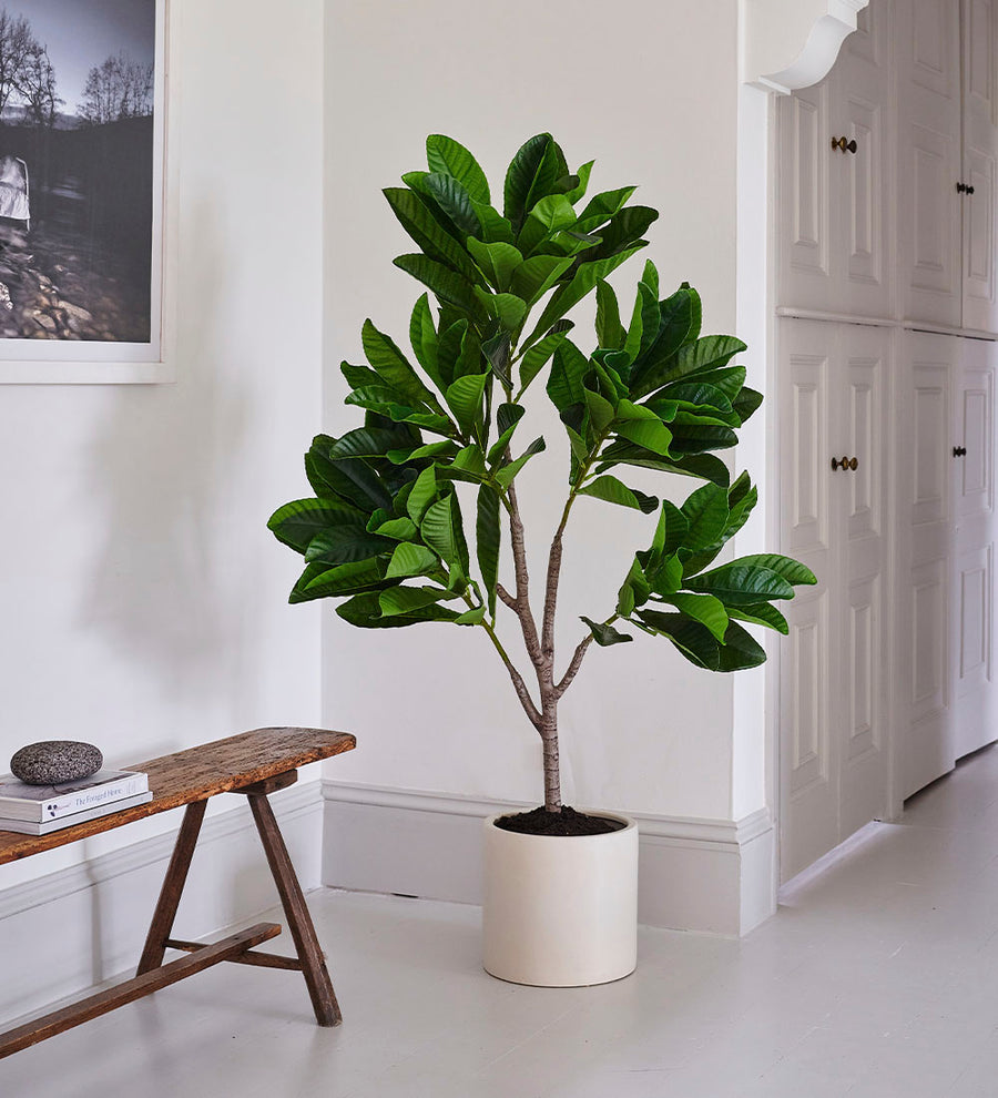 Artificial Frangipani Tree