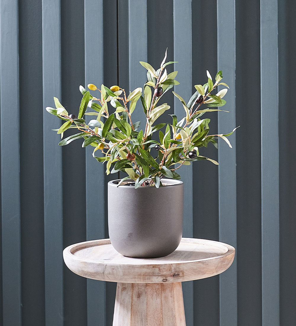 Artificial Olive Plant