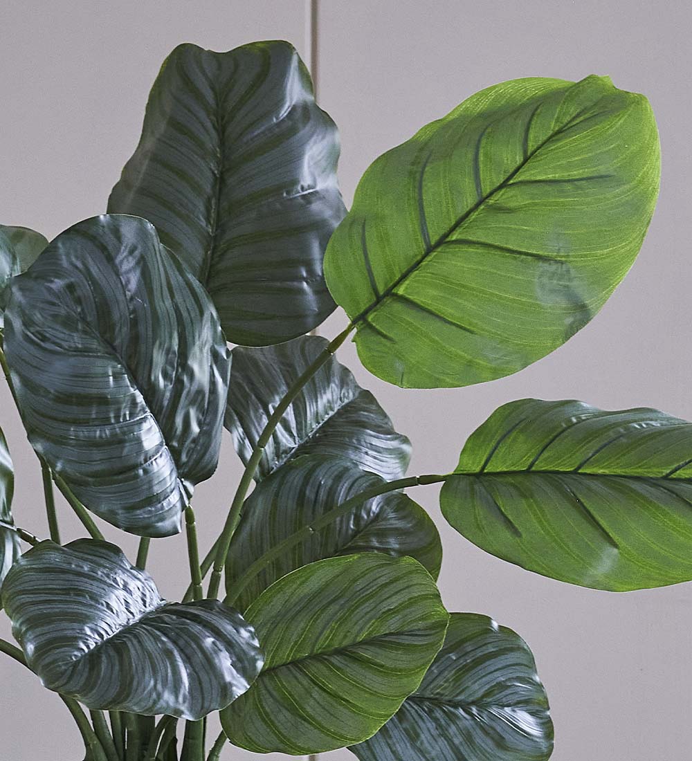 Artificial Calathea Orbifolia