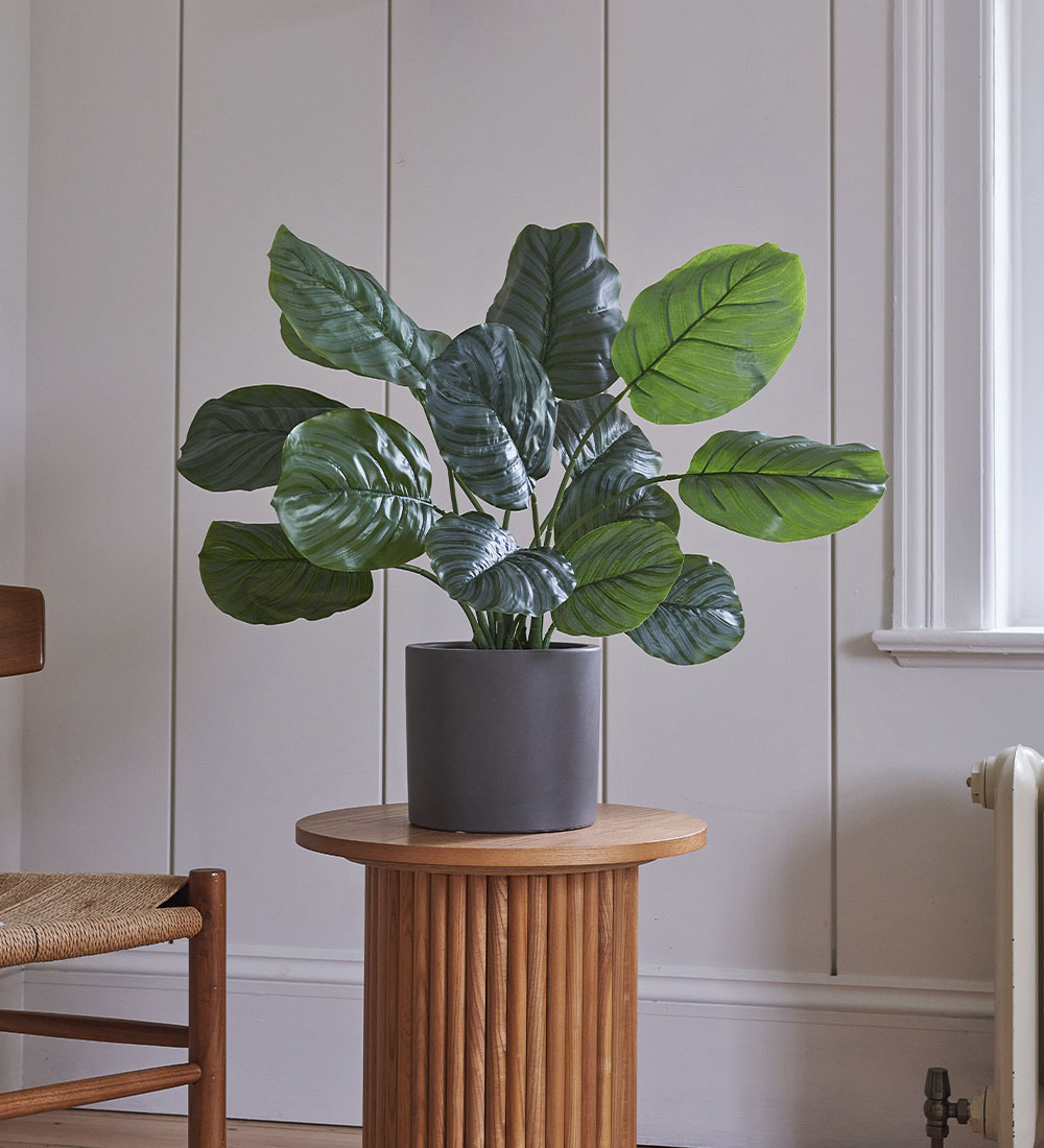 Artificial Calathea Orbifolia