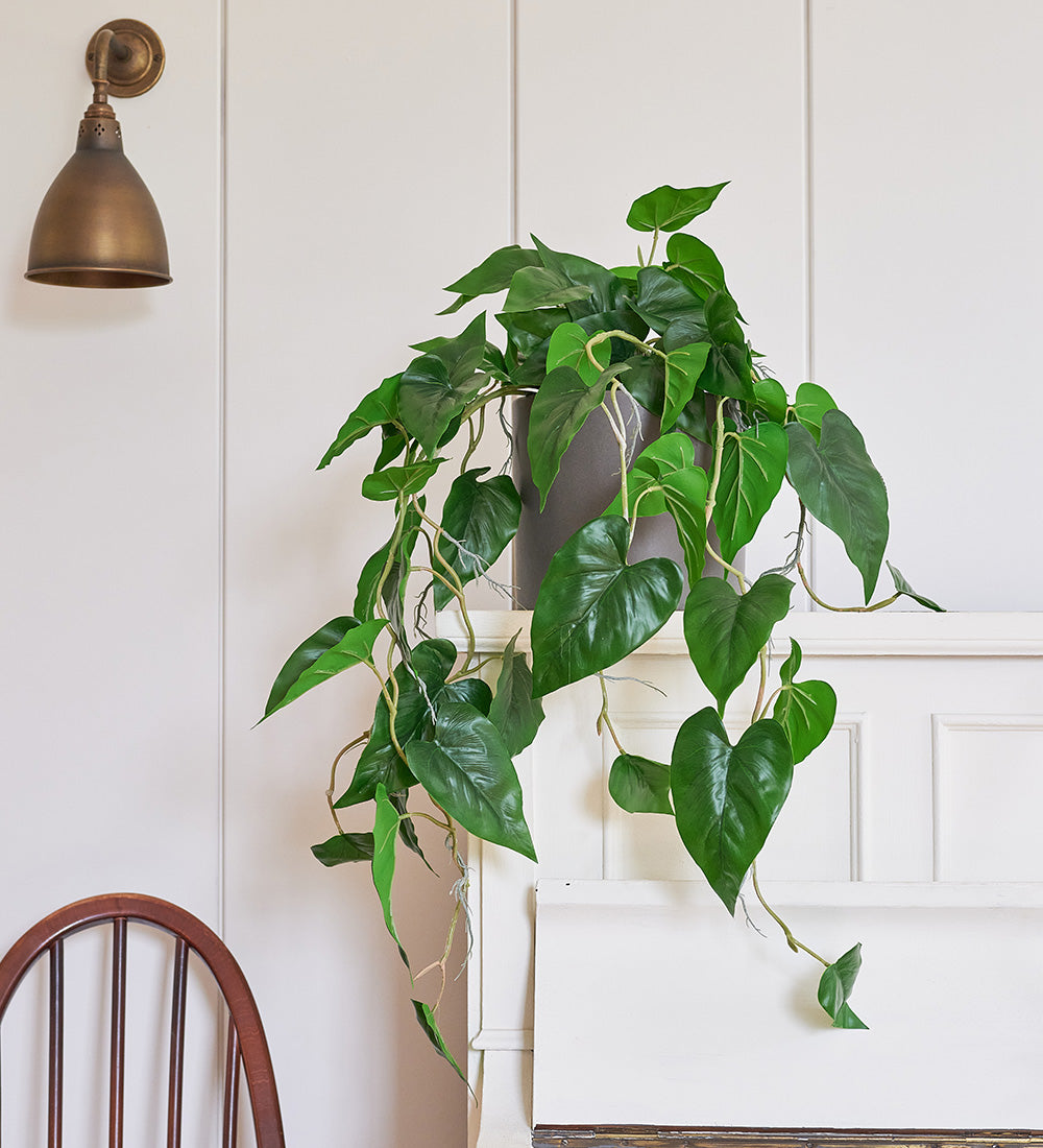 Artificial Philodendron