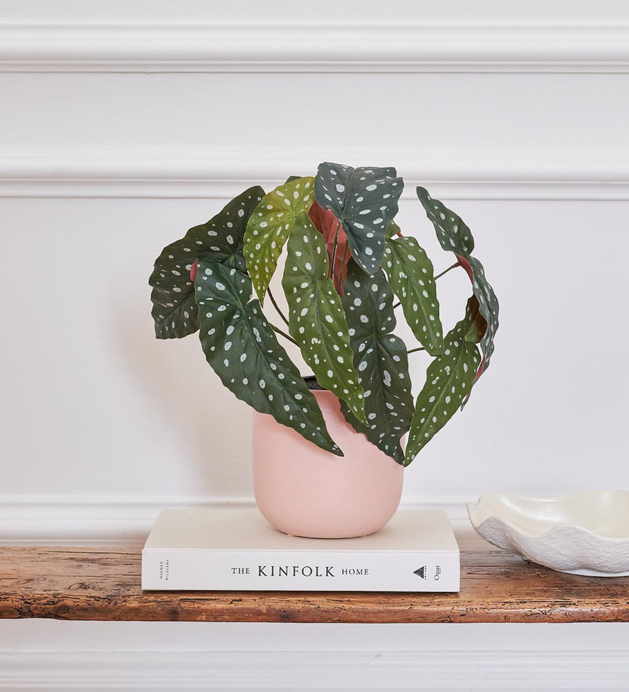 Artificial Polka Dot Begonia