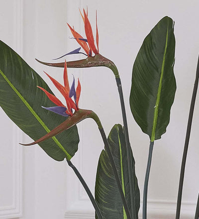 Artificial Bird of Paradise (Flowering)