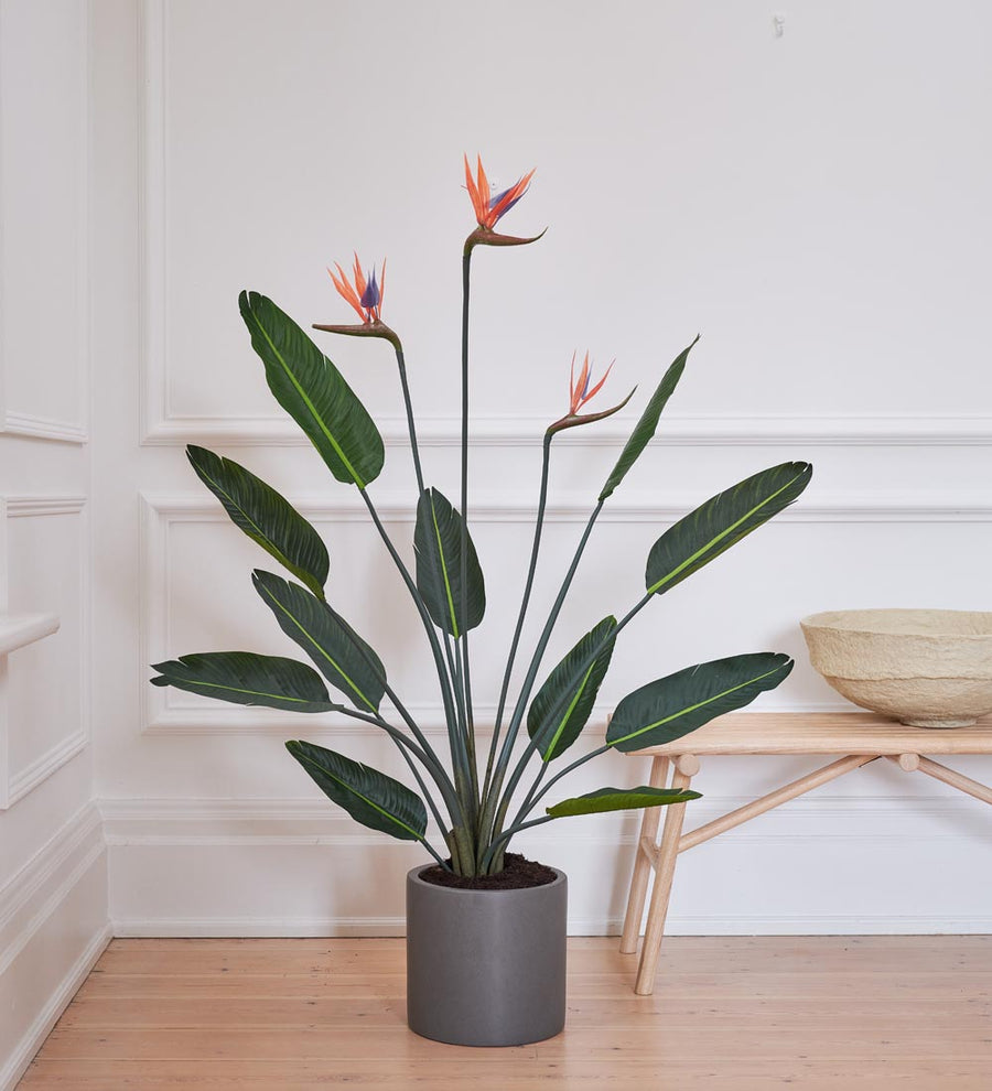 Artificial Bird of Paradise (Flowering)