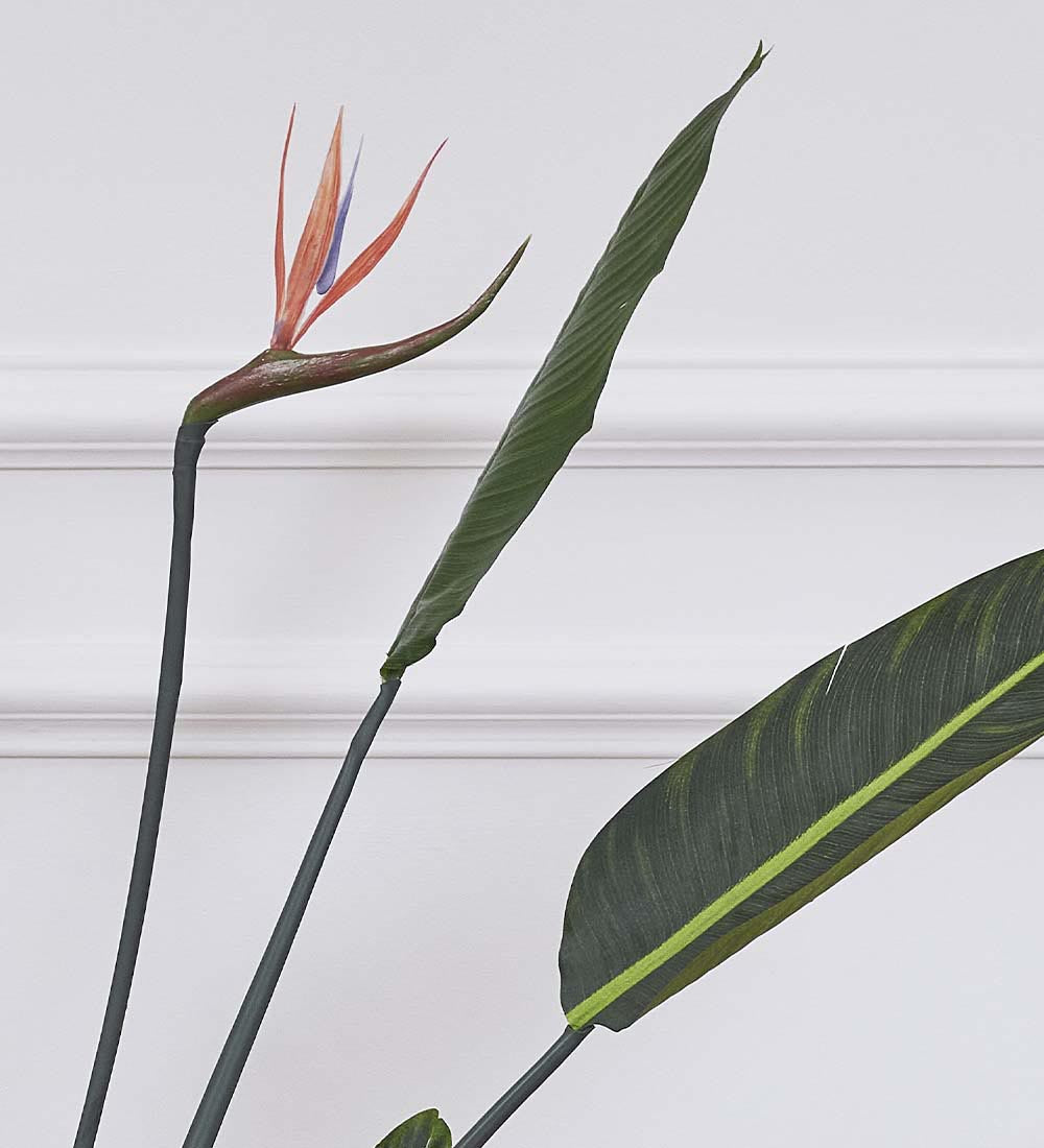 Artificial Bird of Paradise (Flowering)