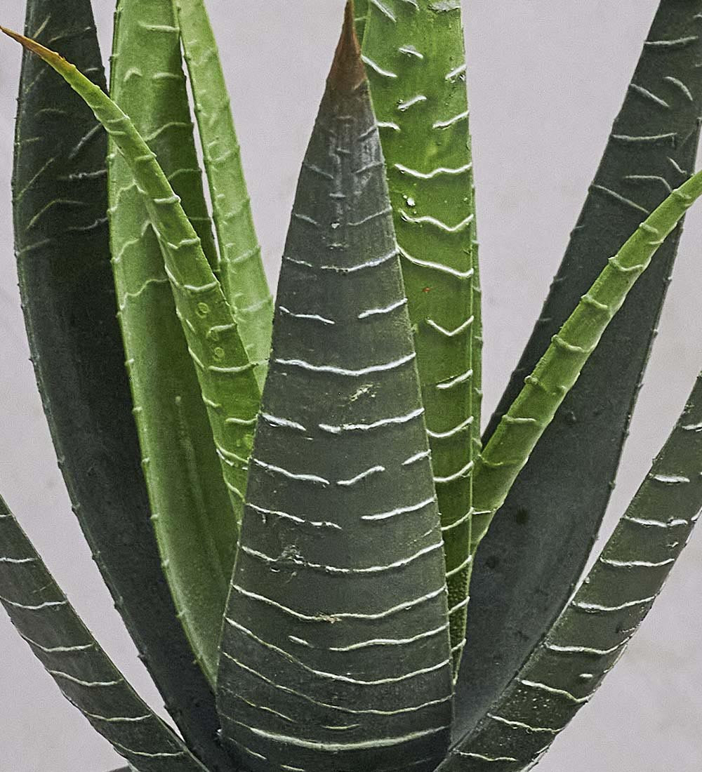 Artificial Aloe Vera