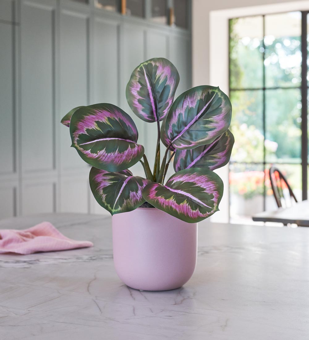 Artificial Rose Painted Calathea