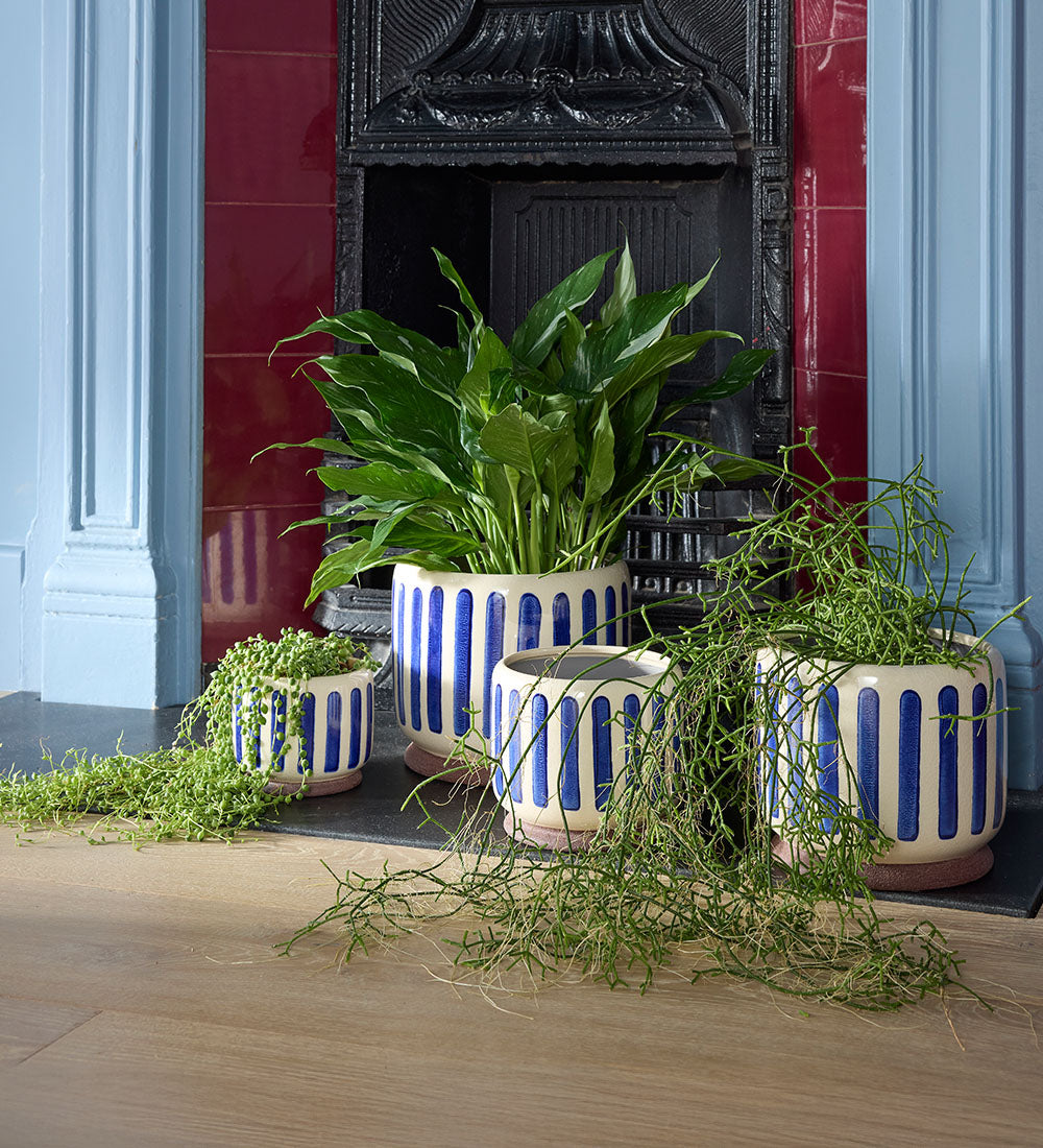 Blue Stripe Pot