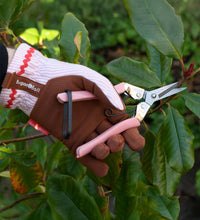 Pink Secateurs Image