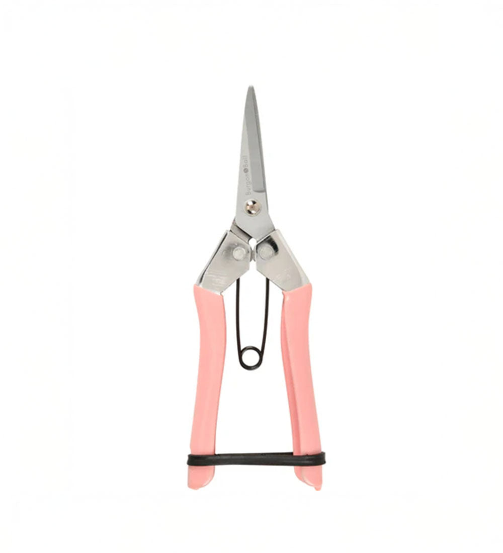 Blush Flower Snips