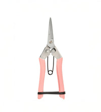 Secateurs Image