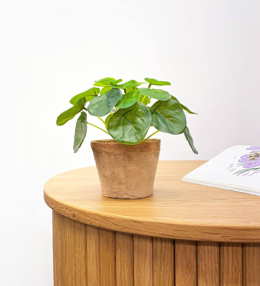 Artificial Money Plant & Pot