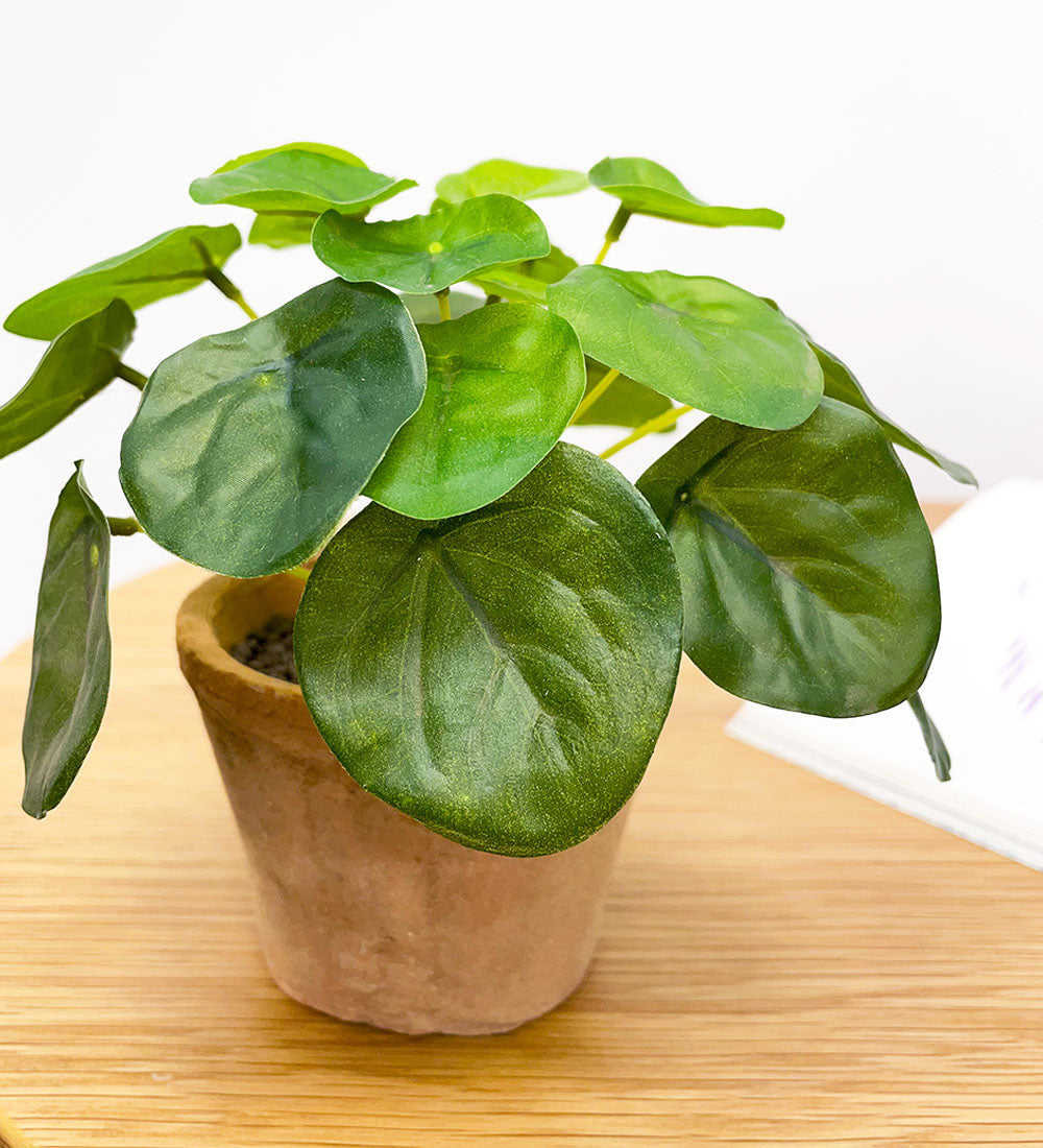 Artificial Money Plant & Pot