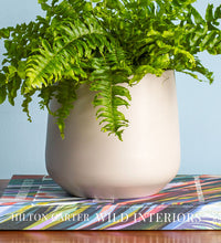 Taupe Matte Pot 14cm Image