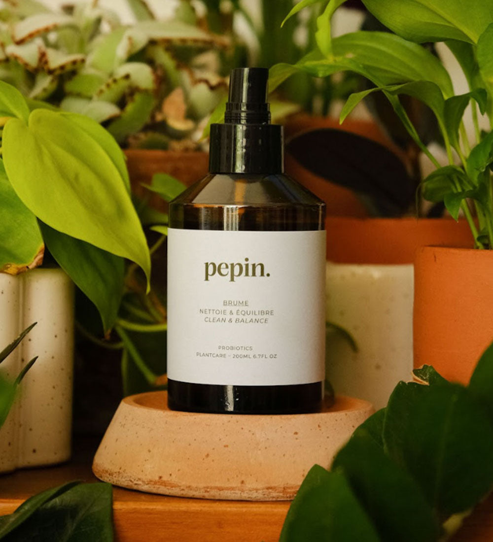 Pepin Cleansing Mist