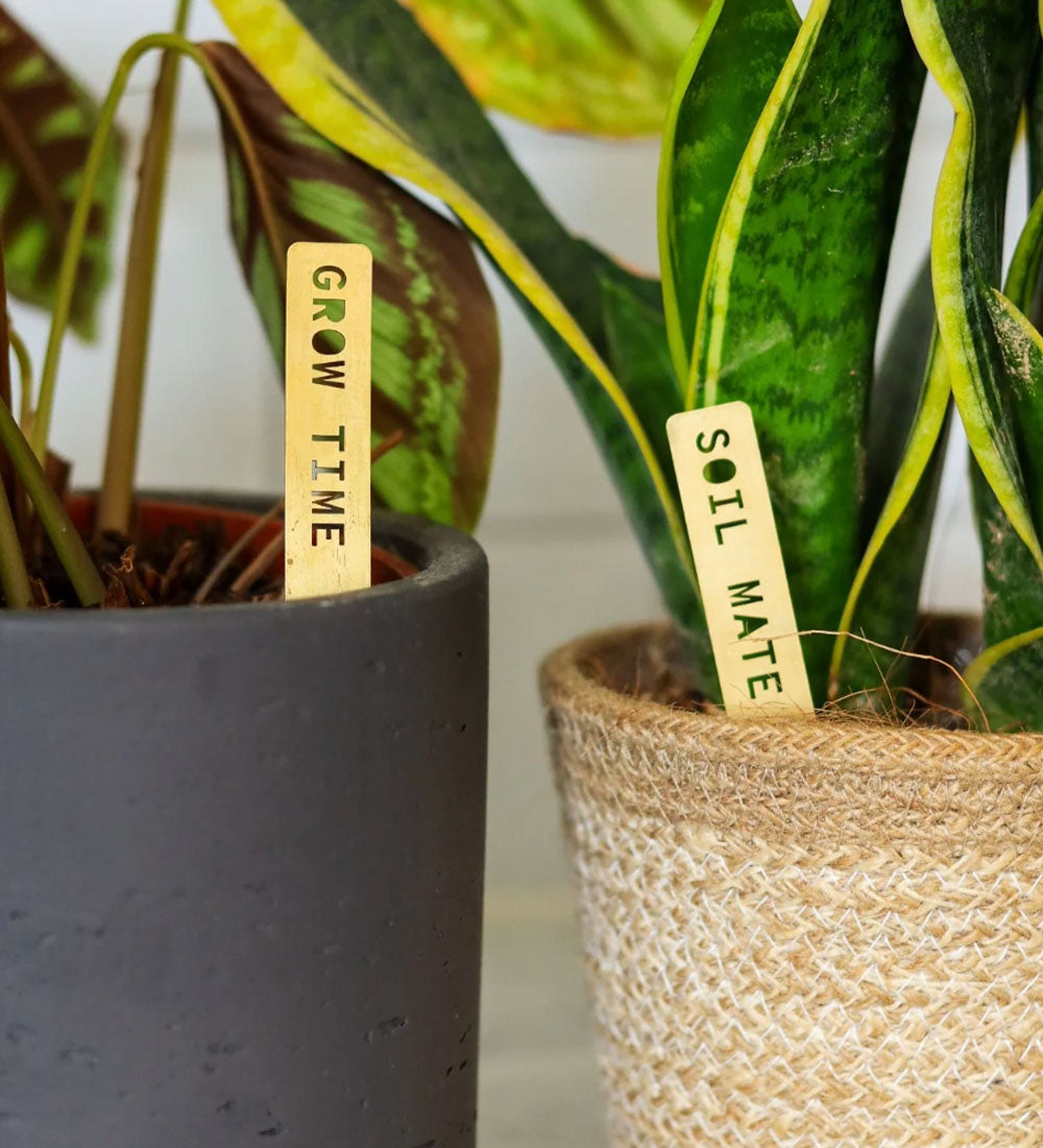 Pun Plant Markers