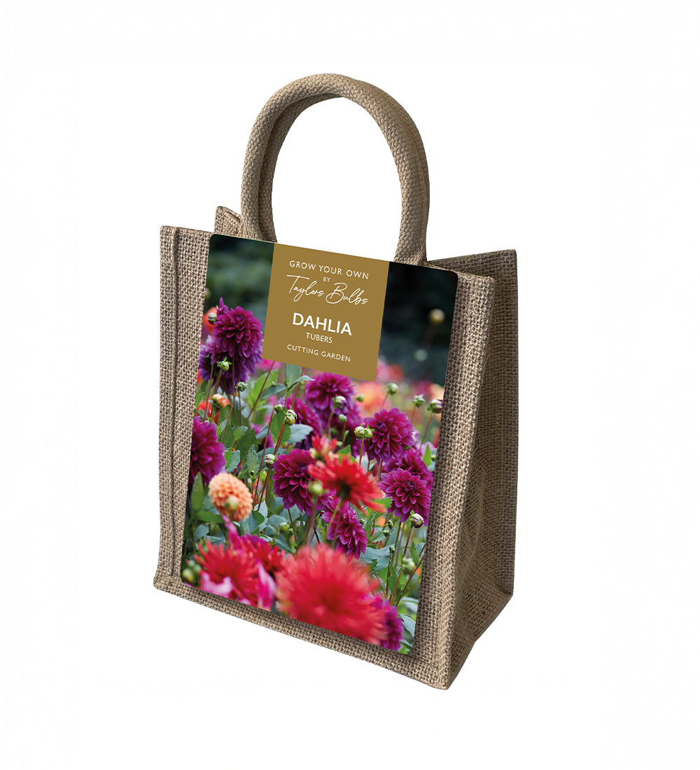 Dahlia Gift Bag