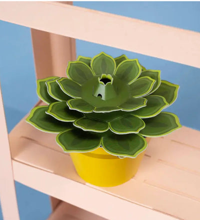 Succulent Mini Paper Plant Kit