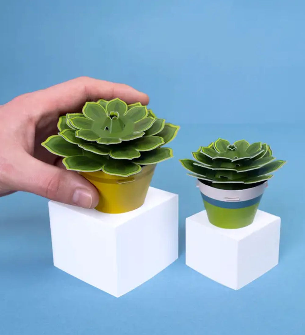 Succulent Mini Paper Plant Kit