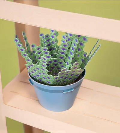 Lavender Mini Paper Plant Kit