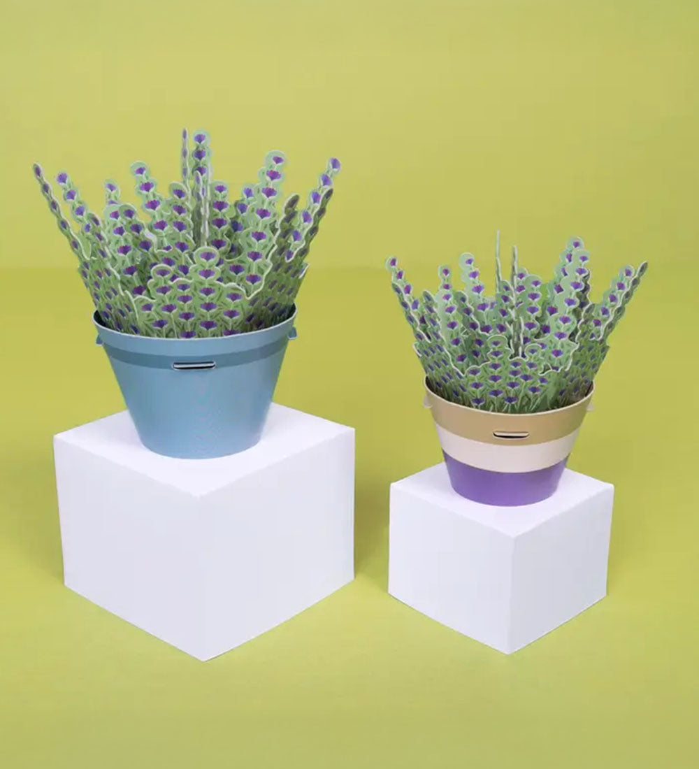 Lavender Mini Paper Plant Kit