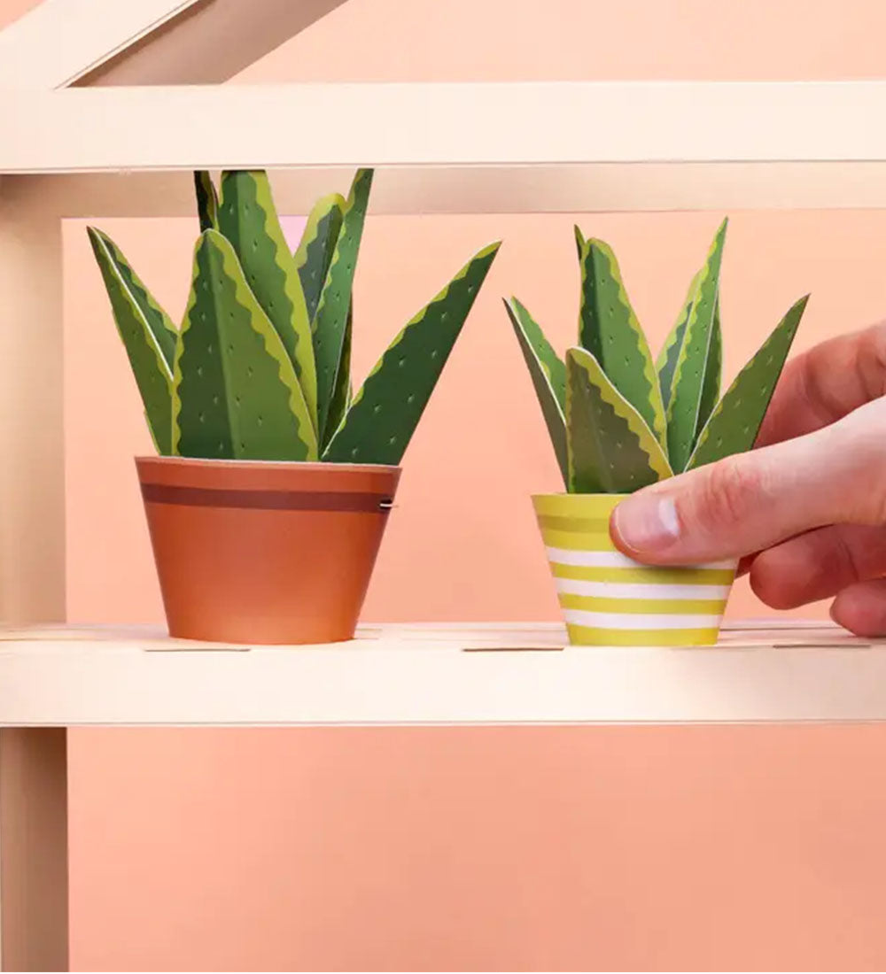 Aloe Vera Mini Paper Plant Kit