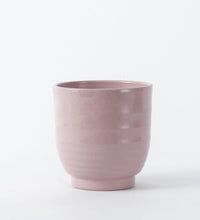 Pink Ares Pot 14cm Image