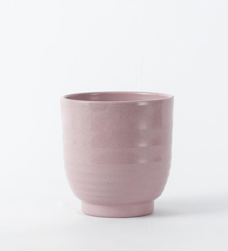 Pink Ares Pot 14cm