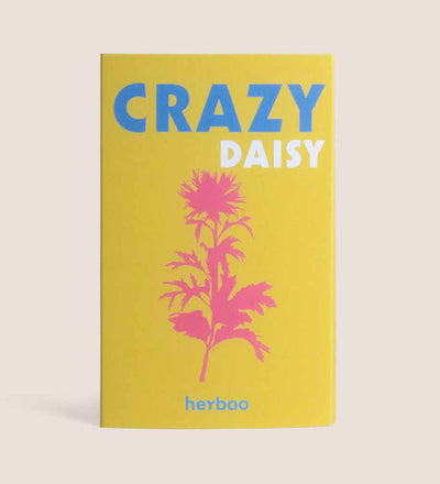 Crazy Daisy seed kit